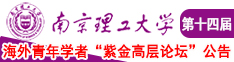 AⅤ鲁鲁小妹插B免费视频南京理工大学第十四届海外青年学者紫金论坛诚邀海内外英才！